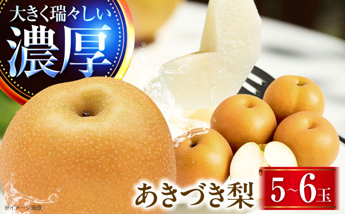 稲田ペアファームのあきづき梨 5〜6玉 〈2026年9月〜発送〉 ／ フルーツ 果物 くだもの 食品 人気 おすすめ 送料無料 梨 なし 秋月 人気 甘い デザート 贈り物 果汁 【株式会社内子フレッシュパークからり】 [BKAD028]