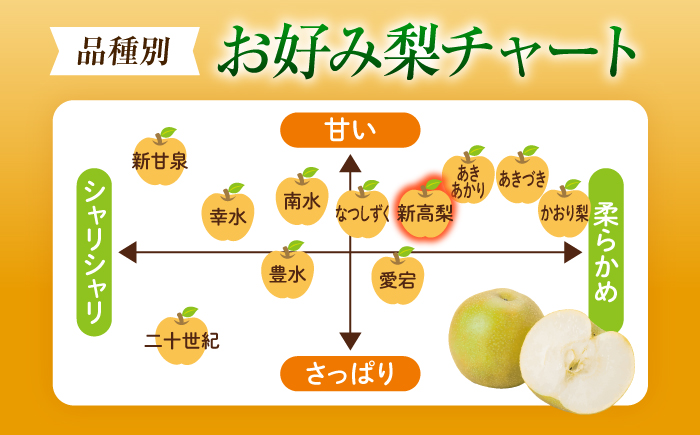 【先行予約】新高梨 （にいたかなし） 4〜6玉 〈2026年9月〜発送〉 ／ フルーツ 果物 くだもの 食品 人気 おすすめ 梨 なし 新高梨 にいたかなし 和梨 甘い 高糖度 ／　株式会社内子フレッシュパークからり [BKAD121]