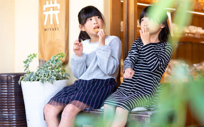 善蔵 12種 詰合せ ( せんべい 豆菓子 芋けんぴ ) 化粧箱入り ／ 豆 まめ 煎餅 芋 いも 菓子 おかし 詰め合わせ ギフト 贈答 【宮栄商事有限会社】 [BKBM008]