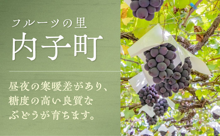 内子夢わいん 赤(ベリーA)+白(ピオーネ) 1本約720ml 各1本入りセット 計1440ml / ワイン 赤ワイン 白ワイン わいん wine お酒 酒 洋酒 愛媛県 愛媛 内子町 国産ワイン 日本ワイン 果実酒 送料無料 人気 家飲み 【企業組合内子ワイナリー】 [BKAG005]