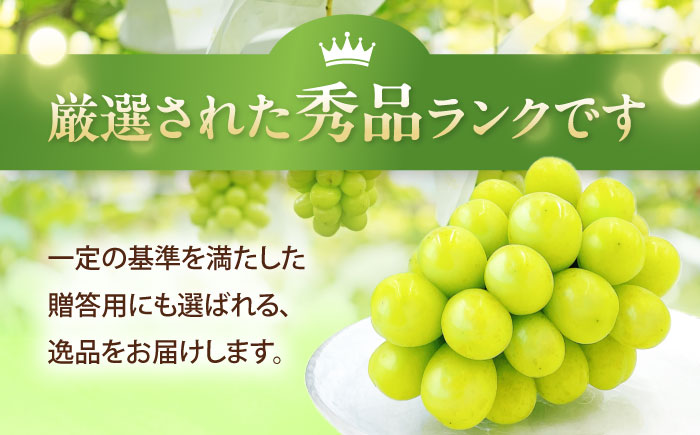 【先行予約】シャインマスカット 秀品 2房 約1kg ＜2026年8月下旬〜発送開始＞ ／ シャインマスカット 大人気 愛媛県 美味しい 人気 皮ごと 葡萄 ブドウ 愛媛県産 内子町産 新鮮 旬 フルーツ 果物 くだもの【株式会社フジ・アグリフーズ】[BKAY003]
