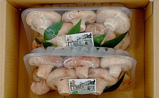 内子町産 生しいたけ（菌床栽培）約240g×2パック