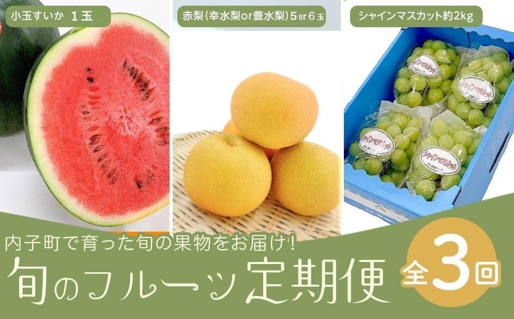 3回定期便　内子町産すいか・梨・ぶどう　旬のフルーツ定期便【北海道・沖縄配送不可】