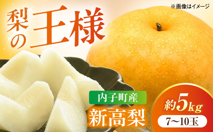 【先行予約】新高梨【7〜10玉】＜2026年9月下旬から発送＞ ／ 梨 なし ナシ 和梨 果物 フルーツ 国産 産地直送　BKAY021