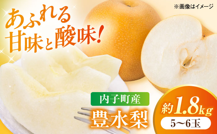 【先行予約】豊水梨【5〜6玉】＜2026年8月下旬から発送＞【北海道・沖縄配送不可】 ／ 梨 なし ナシ 和梨 果物 フルーツ 国産 産地直送【株式会社フジ・アグリフーズ】 [BKAY022]