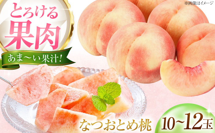 藤渕果樹園のなつおとめ桃 10〜12玉入り 〈2026年7月〜発送〉 ／ フルーツ 果物 くだもの 食品 人気 おすすめ 送料無料 桃 もも モモ なつおとめ桃 季節のフルーツ 【株式会社内子フレッシュパークからり】 [BKAD061]
