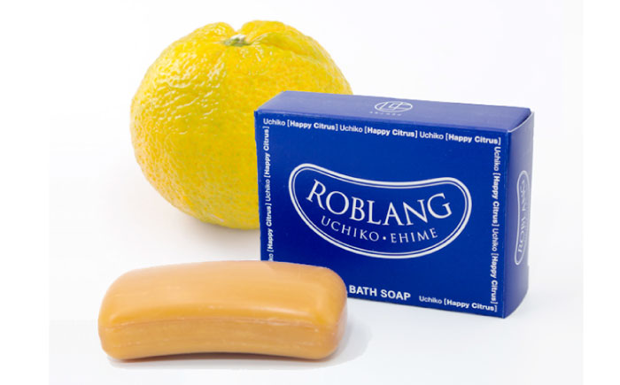 ロブラング ギフトセットB ／ デンタルケア オーラルケア 口腔ケア 口腔衛生ケア プレゼント ギフト 日用品 内子町【昭和刷子株式会社】 [BKAZ007]