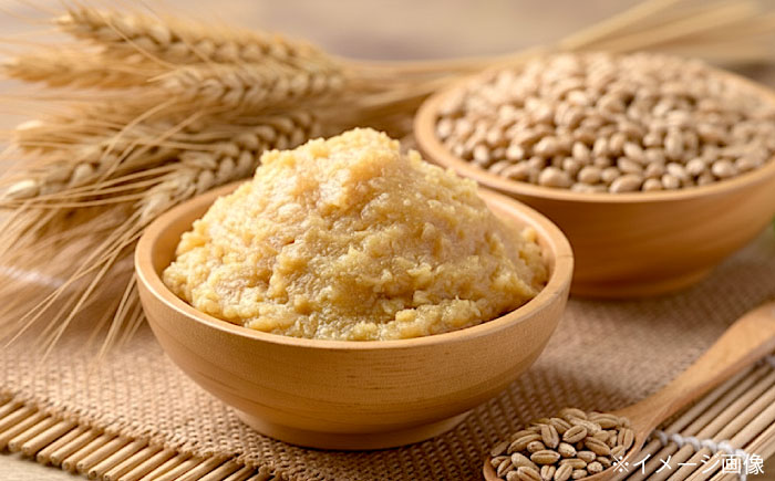 創業明治26年 老舗「内子・森文」おふくみそ（麦みそ）6個セット（1kg×6袋） ／ 食品 加工食品 人気 おすすめ 送料無料 みそ 味噌 ミソ 麦味噌 おふくみそ 【森文醸造株式会社】 [BKAA002]