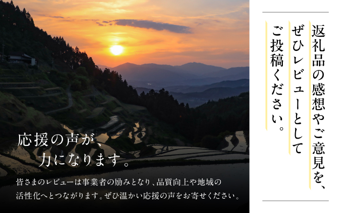 【先行予約】内子町産 朝どり シャインマスカット 2kg【2026年8月下旬から順次発送】 ／ シャインマスカット マスカット ぶどう ブドウ 葡萄 果物 フルーツ 国産 産地直送 農家直送【峯下ぶどう園】 [BKCE001]