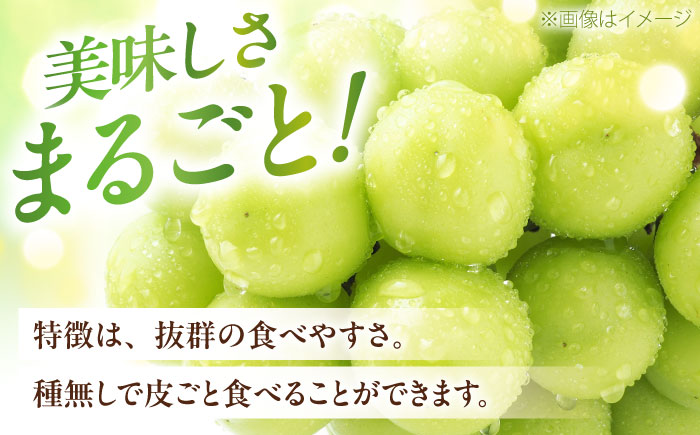 【先行予約】シャインマスカット 秀品 2房 約1kg ＜2026年8月下旬〜発送開始＞ ／ シャインマスカット 大人気 愛媛県 美味しい 人気 皮ごと 葡萄 ブドウ 愛媛県産 内子町産 新鮮 旬 フルーツ 果物 くだもの【株式会社フジ・アグリフーズ】[BKAY003]