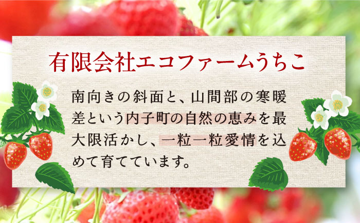 【先行予約】季節のイチゴ詰め合わせ 400g×4パック ＜2026年4月下旬以降発送＞ ／ いちご イチゴ 苺 果物 フルーツ 国産 産地直送 農家直送【周年観光農園エコファームうちこ】 [BKBW003]