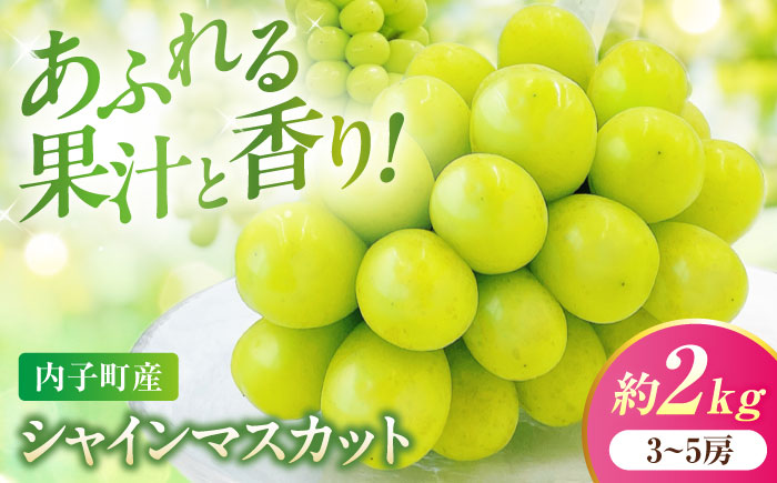 【先行予約】シャインマスカット ムジ 3〜5房 約2kg ＜2026年8月下旬〜発送開始＞ ／ シャインマスカット 大人気 愛媛県 美味しい 人気 皮ごと 葡萄 ブドウ 愛媛県産 内子町産 新鮮 旬 フルーツ 果物 くだもの【株式会社フジ・アグリフーズ】[BKAY004]