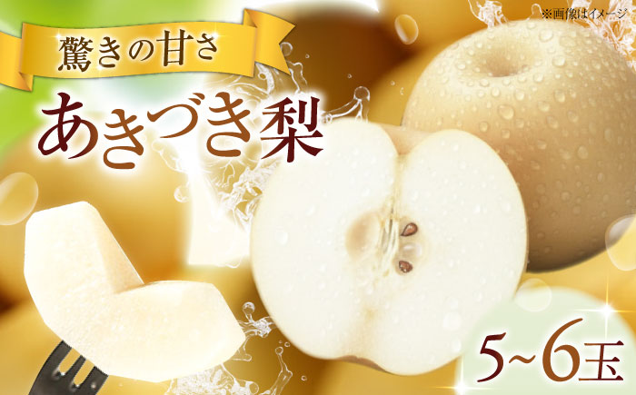 フルーツ松本のあきづき梨 5〜6玉入り 〈2026年9月〜発送〉 ／ フルーツ 果物 くだもの 食品 人気 おすすめ 送料無料 梨 なし あきづき梨 季節のフルーツ 【株式会社内子フレッシュパークからり】 [BKAD054]
