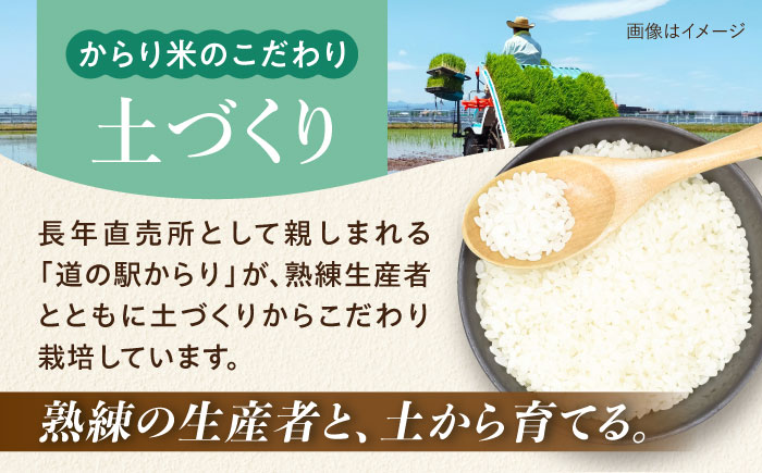 内子からり米 令和7年産ヒノヒカリ 5kg（精米5kg×1袋）／ お米 こめ 白米 精米 食品 令和7年度 ヒノヒカリ 送料無料【株式会社内子フレッシュパークからり】 [BKAD092]