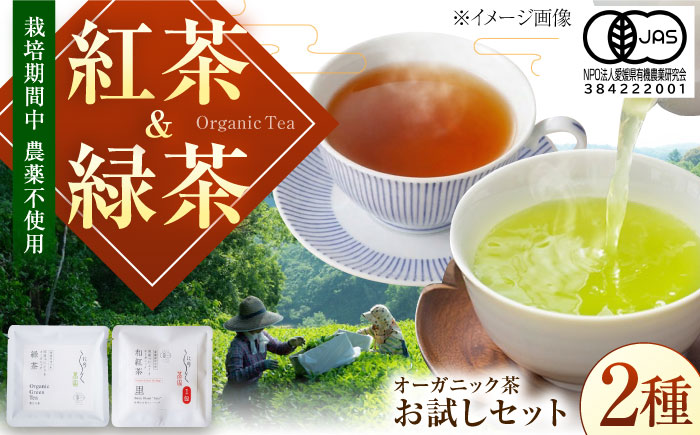 べにふうきを気軽に試せる オーガニック和紅茶＆緑茶お試しセット (2種 各1個 計2個セット) ／ べにふうき 和紅茶 緑茶 お試し セット 内子町 国産 【にのらく茶園】 [BKBR005]