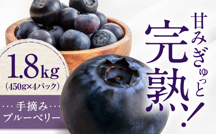 手摘み ブルーベリー 詰め合わせ 450g×4パック ＜2026年7月下旬より発送＞ ／ ブルーベリー 果物 フルーツ ベリー 国産 産地直送 農家直送【周年観光農園エコファームうちこ】 [BKBW001]