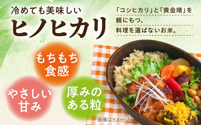内子からり米 令和7年産ヒノヒカリ（玄米10kg×2袋）／ お米 こめ 玄米 精米 食品 令和7年度 ヒノヒカリ 送料無料【株式会社内子フレッシュパークからり】 [BKAD098]