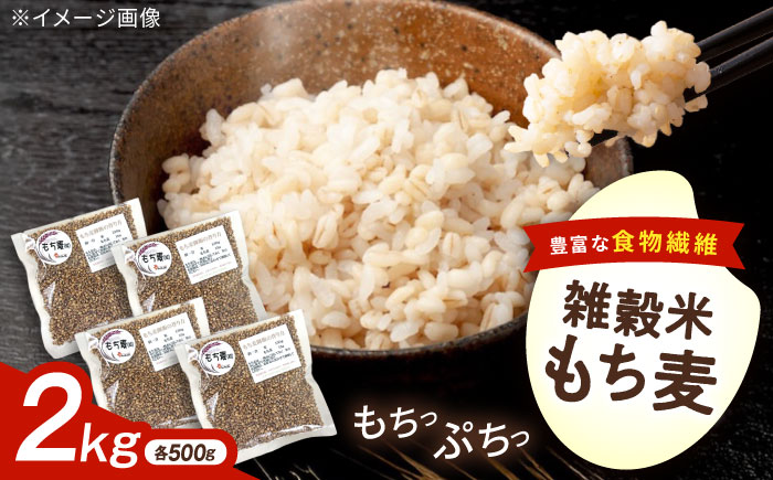 内子町産もち麦2kg ／ 国産 雑穀米 もち麦 ごはん おすすめ 送料無料 米 【株式会社内子フレッシュパークからり】 [BKAD009]