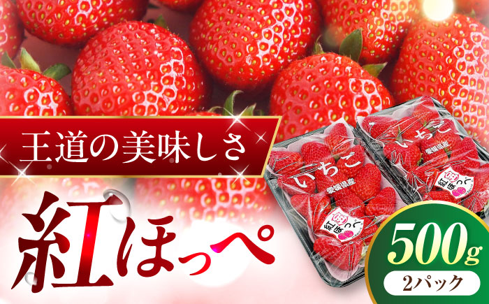 【先行予約】いちご 「紅ほっぺ」 2パック ／ イチゴ 苺 果物 フルーツ 国産 産地直送 愛媛県 内子町産【株式会社フジ・アグリフーズ】BKAY001