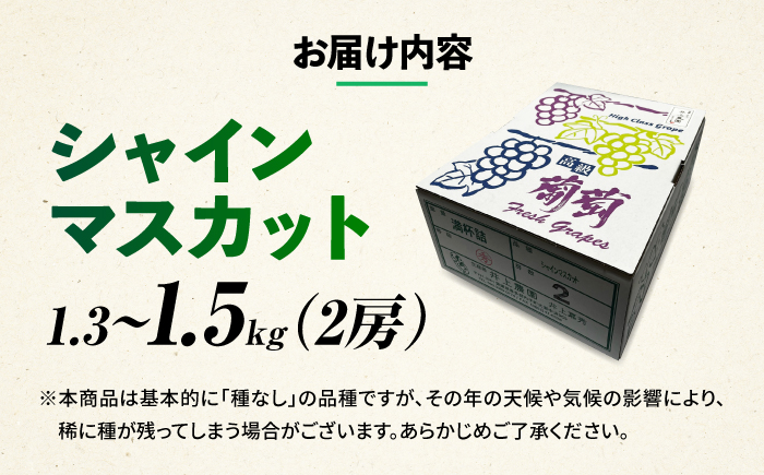 シャインマスカット 1.3～1.5kg (2房) 愛媛県内子町/井上農園 [BKCS002]
