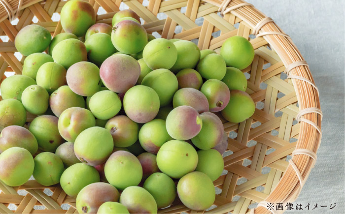 愛媛県産「果実系リキュール」呑み比べセット / 果実 レモン みかん 飲み比べ アルコール お酒 人気 おすすめ 送料無料 愛媛 【愛媛県酒造協同組合】 [BKAW002]