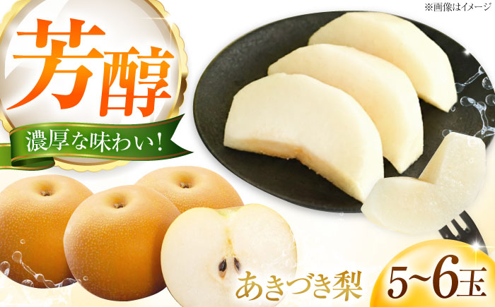 藤渕果樹園のあきづき梨 5〜6玉入 〈2026年8月〜発送〉 ／ フルーツ 果物 くだもの 食品 人気 おすすめ 送料無料 梨 なし 果実 あきづきなし 【株式会社内子フレッシュパークからり】 [BKAD046]