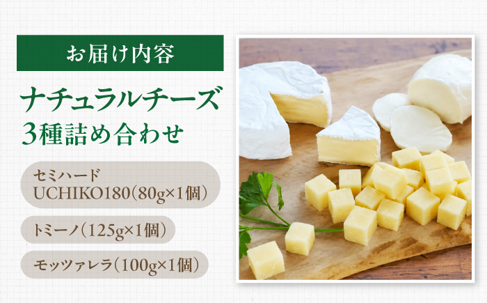 山地放牧酪農ミルクのナチュラルチーズ3種詰め合わせセット/（トミーノ/モッツァレラ/セミハード（UCHIKO180））愛媛県 伝統製法 おつまみ 乳製品/株式会社醍醐 [BKAH002]