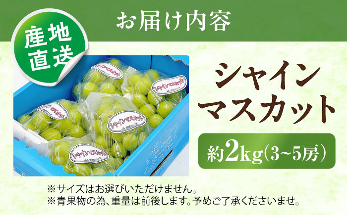 【先行予約】シャインマスカット 秀品 3〜5房 約2kg ＜2026年8月下旬〜発送開始＞ ／ シャインマスカット 大人気 愛媛県 美味しい 人気 皮ごと 葡萄 ブドウ 愛媛県産 内子町産 新鮮 旬 フルーツ 果物 くだもの【株式会社フジ・アグリフーズ】[BKAY005]