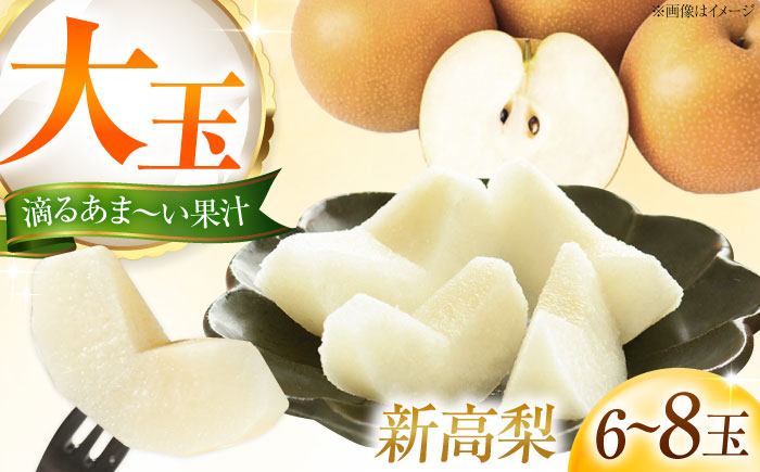藤渕果樹園の新高梨（にいたかなし） 6〜8玉入 〈2026年10月〜発送〉 ／ 梨 なし フルーツ 果物 くだもの 食品 人気 おすすめ 季節のフルーツ 新高梨 【株式会社内子フレッシュパークからり】 [BKAD020]