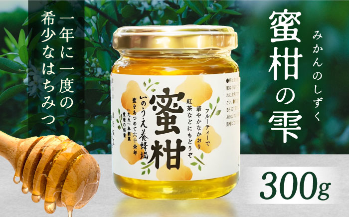 蜜柑の雫（しずく）300g／蜂蜜 はちみつ ハチミツ 食品 内子町 四国 愛媛県 【いのうえ養蜂場】 [BKCF002]