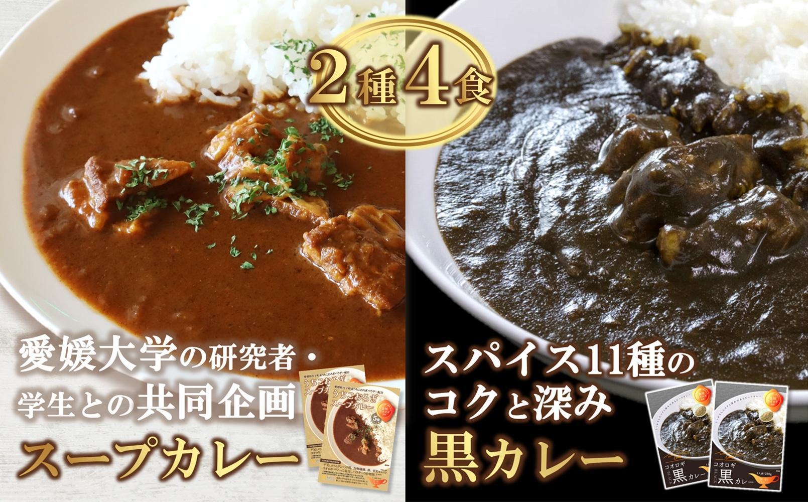 愛媛県喜多郡内子町産イエコオロギパウダー スープカレー スパイスカレー タンパク質 うちこおろぎスープカレー２個と定番コオロギ黒カレー２個セット