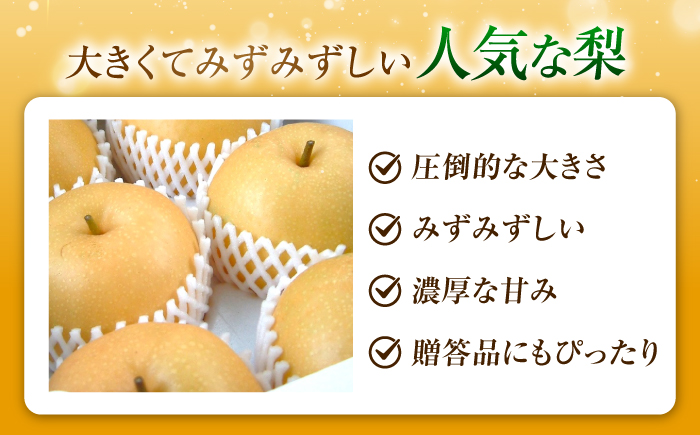 【先行予約】あきづき梨 5〜6玉入 〈2026年9月〜発送〉 ／ 梨 なし フルーツ 果物 くだもの 食品 人気 おすすめ 季節のフルーツ あきづき梨 /　株式会社内子フレッシュパークからり [BKAD115]
