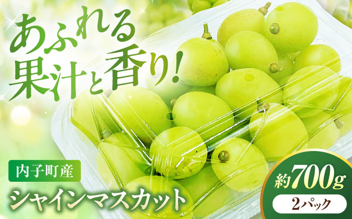 【先行予約】シャインマスカット 350g×2パック パック詰め ＜2026年8月下旬〜発送開始＞ ／ シャインマスカット 大人気 愛媛県 美味しい 人気 皮ごと 葡萄 ブドウ 愛媛県産 内子町産 新鮮 旬 フルーツ 果物 くだもの 四国 【株式会社フジ・アグリフーズ】 [BKAY006]