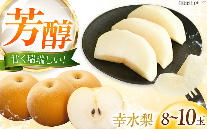 藤渕果樹園の幸水梨(こうすいなし) 8〜10玉入り 〈2026年8月〜発送〉 ／ フルーツ 果物 くだもの 食品 人気 おすすめ 送料無料 梨 なし 幸水梨 梨 季節のフルーツ 【株式会社内子フレッシュパークからり】 [BKAD088]