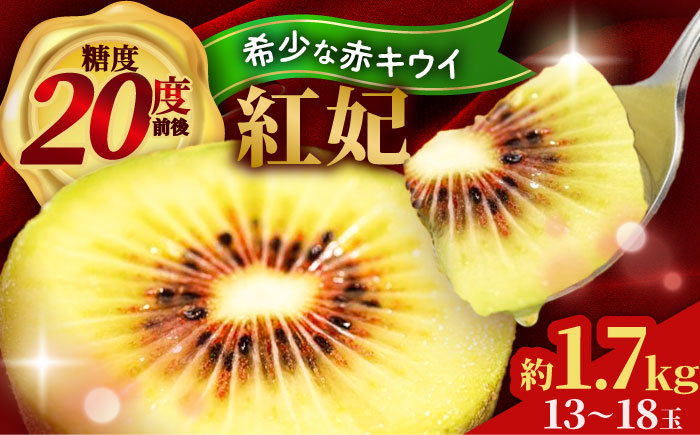 赤キウイ「紅妃」特大サイズ 1.7kg ／ キウイ キウイフルーツ 果物 フルーツ 国産 産地直送 農家直送【スマイル農園たかの】 [BKCD001]