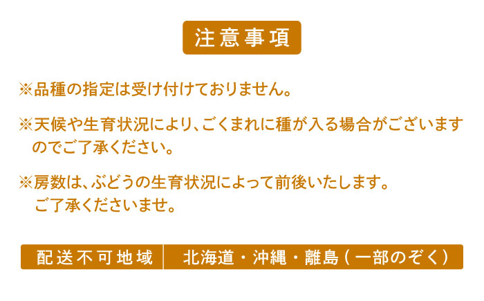 【先行予約】＜赤秀＞ 種無しぶどう 食べ比べ セット 3〜5房 2kg ／ ぶどう ブドウ 葡萄 果物 フルーツ 国産 産地直送 農家直送 愛媛県 内子町産 四国 【藤友巨峰園】 [BKCI001]