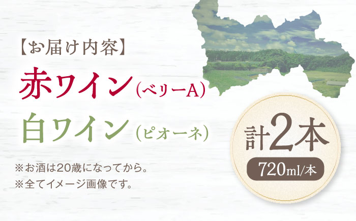 内子夢わいん 赤(ベリーA)+白(ピオーネ) 1本約720ml 各1本入りセット 計1440ml / ワイン 赤ワイン 白ワイン わいん wine お酒 酒 洋酒 愛媛県 愛媛 内子町 国産ワイン 日本ワイン 果実酒 送料無料 人気 家飲み 【企業組合内子ワイナリー】 [BKAG005]