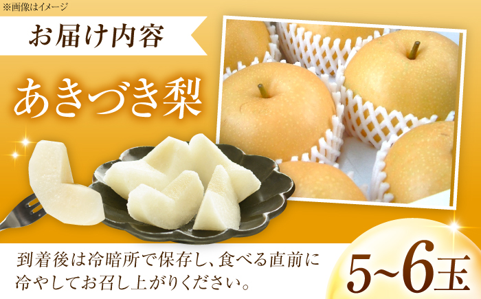 【先行予約】あきづき梨 5〜6玉入 〈2026年9月〜発送〉 ／ 梨 なし フルーツ 果物 くだもの 食品 人気 おすすめ 季節のフルーツ あきづき梨 /　株式会社内子フレッシュパークからり [BKAD115]