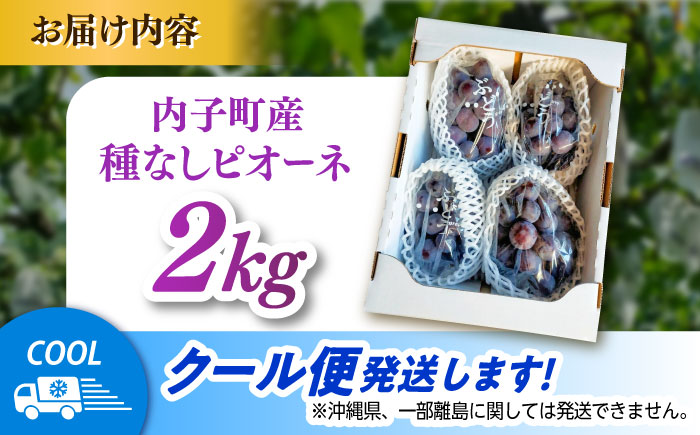 【先行予約】種無しピオーネ2kg／ぶどう 種なし フルーツ くだもの 内子町 四国 愛媛県 【フルーツファームやまおか】 [BKCO001]