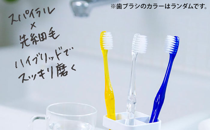 ロブラング ギフトセットB ／ デンタルケア オーラルケア 口腔ケア 口腔衛生ケア プレゼント ギフト 日用品 内子町【昭和刷子株式会社】 [BKAZ007]