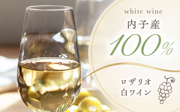 内子夢わいん 赤(山ぶどう)+白(ロザリオ) 1本約720ml 各1本入りセット 計1440ml / ワイン 赤ワイン 白ワイン わいん wine お酒 酒 洋酒 愛媛県 愛媛 内子町 国産ワイン 日本ワイン 果実酒 送料無料 人気 家飲み【企業組合内子ワイナリー】 [BKAG003]