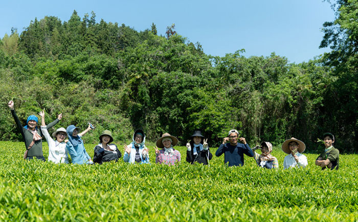 べにふうきを気軽に試せる オーガニック和紅茶＆緑茶お試しセット (2種 各1個 計2個セット) ／ べにふうき 和紅茶 緑茶 お試し セット 内子町 国産 【にのらく茶園】 [BKBR005]