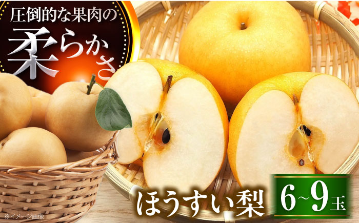 稲田ペアファームの豊水梨（ほうすいなし） 6〜9玉入 〈2026年8月〜発送〉 ／ 梨 なし フルーツ 果物 くだもの 食品 人気 おすすめ 季節のフルーツ 豊水梨 【株式会社内子フレッシュパークからり】 [BKAD031]