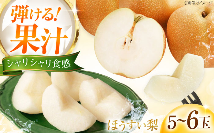藤渕果樹園の豊水梨（ほうすいなし） 5〜6玉入り 〈2026年8月〜発送〉 ／ フルーツ 果物 くだもの 食品 人気 おすすめ 送料無料 梨 なし 豊水梨 季節のフルーツ 【株式会社内子フレッシュパークからり】 [BKAD062]