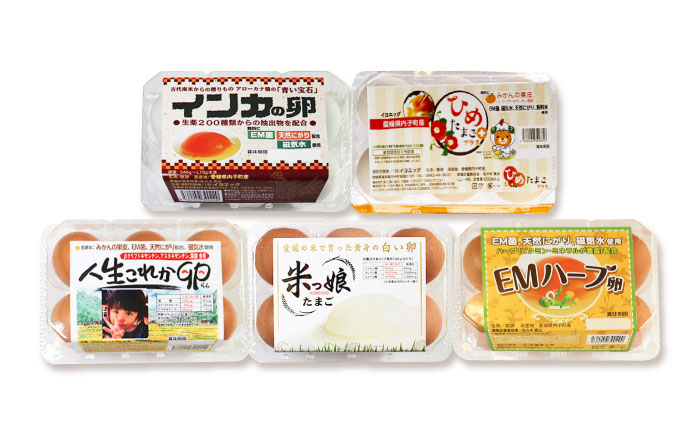はじめての卵 食べ比べセット 6個×5種類(内割れ保証5個、各種1個づつ)／たまご 生卵 食べ比べ 詰め合わせ お試し 内子町 四国 愛媛県 【有限会社イヨエッグ】 [BKCB001]
