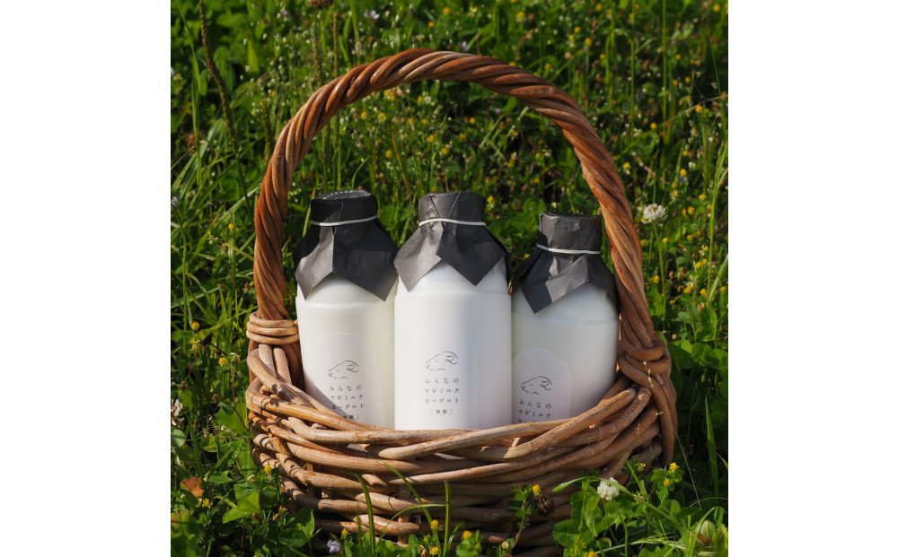 【2026年発送分 先行予約】 みんなのヤギミルクヨーグルト（無糖タイプ）3本セット