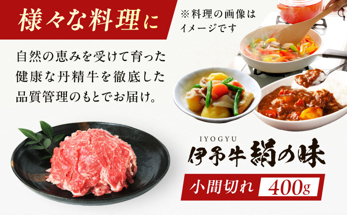 伊予牛「絹の味」黒毛和牛 小間切れ 400g ／ 肉 お肉 にく 食品 愛媛県産 人気 おすすめ ギフト 【全国農業協同組合連合会愛媛県本部】 [BKBB001]