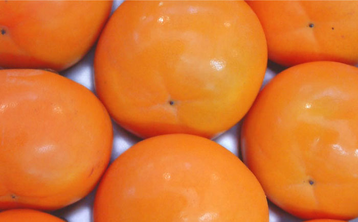 かき酢500ml×1本 （内子町産富有柿使用 醸造酢）／　果実酢 柿 カキ 酢 果物 お酢 フルーツ くだもの酢 【株式会社内子フレッシュパークからり】 [BKAD004]