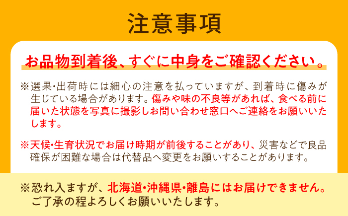 【先行予約】新高梨 （にいたかなし） 4〜6玉 〈2026年9月〜発送〉 ／ フルーツ 果物 くだもの 食品 人気 おすすめ 梨 なし 新高梨 にいたかなし 和梨 甘い 高糖度 ／　株式会社内子フレッシュパークからり [BKAD121]