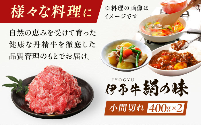 伊予牛「絹の味」黒毛和牛 小間切れ 800g（400g×2）／ 肉 お肉 にく 食品 愛媛県産 人気 おすすめ ギフト 【全国農業協同組合連合会愛媛県本部】 [BKBB002]